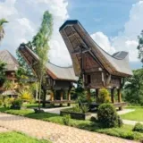 Sulawesi